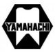Yamahachi Dental (Japan)