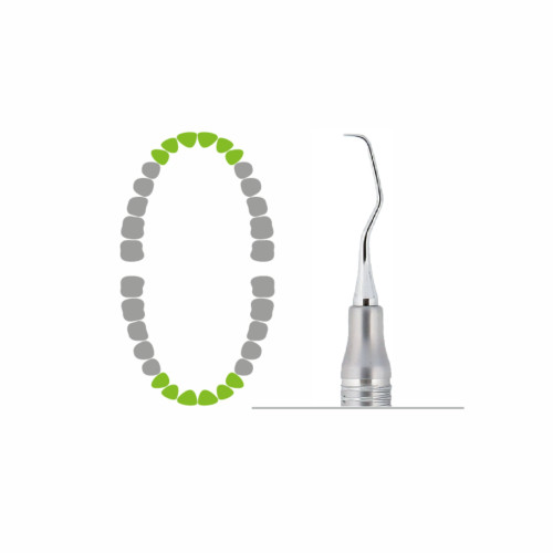 Кюрета Gracey 1-2, Dental Studio