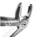 «Легкие» щипцы для нижней челюсти фронтальных зубов 3259S, Dental Studio