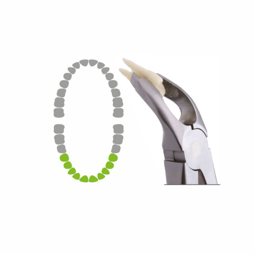 «Легкие» щипцы 3252, Dental Studio