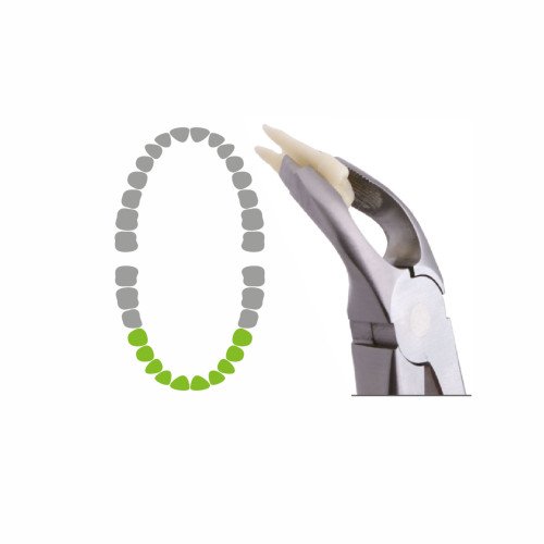 «Легкі» щипці 3252, Dental Studio