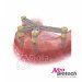 Набор для сканирования SmileArch ScanBody Kit, Neobiotech