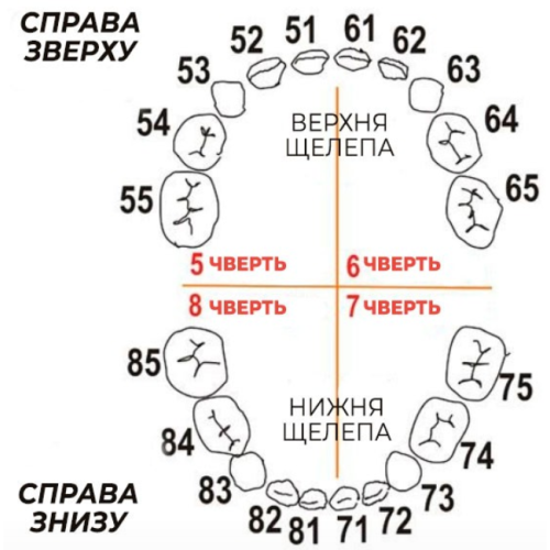 Кламп №54, (KSK DENTECH) 